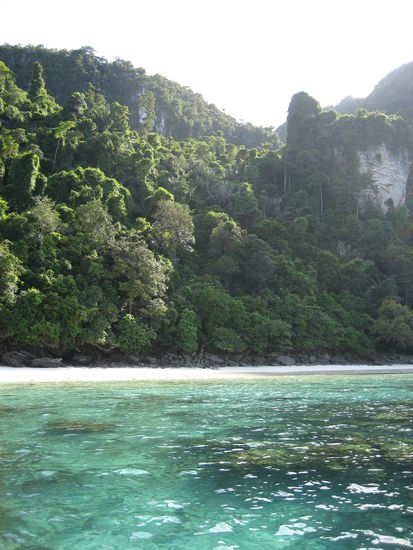 Der beste Schnorchelstrand, den ich je erlebt habe!