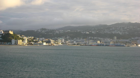 der erste Blick auf Wellington