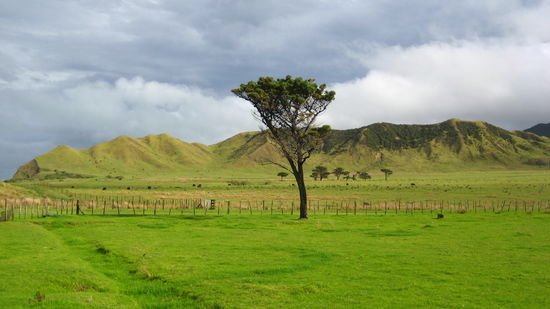 noch naeher (Richtung Osten)