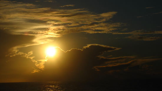 Am Abend vor Opotiki