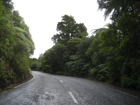 North land Forrest park