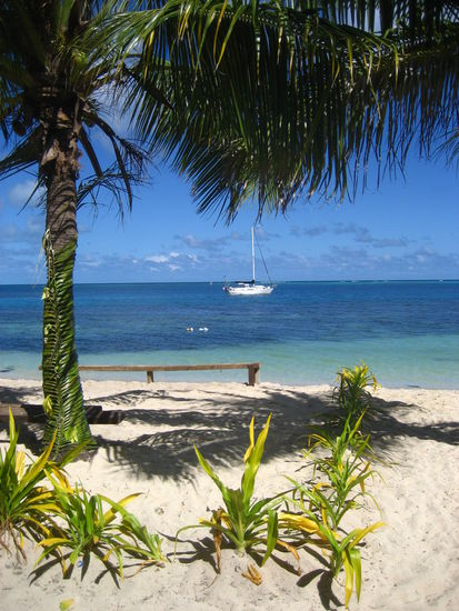 nicht ganz schlechter "Vorgarten" 