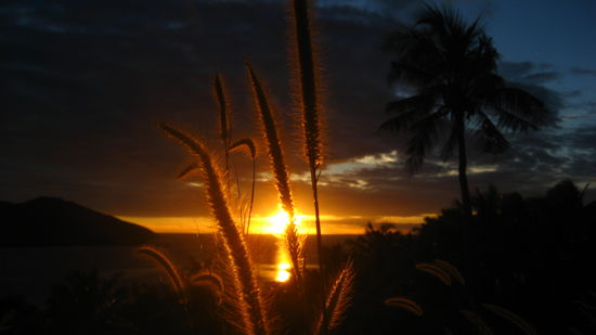 der schoenste Sonnenuntergang, den ich auf Fidschi erlebt hab