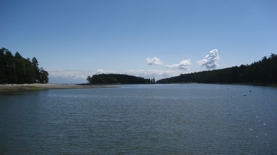 hier verbrachten wir den 3. Tag bevor wir um ca. 16.00 zurueckfuhren.
Austern ueberall am Strand. Ich wurde "gezwungen" eine roh zu essen. Wie ihr wisst bin ich nicht so der Fan, ein zwei waren gut, aber mehr brauch ich nicht