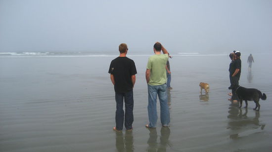 der kritische Blick, ob die Wellen surfbar sind...