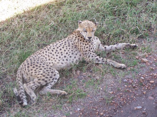 ...gönnt sich eine Pause.
