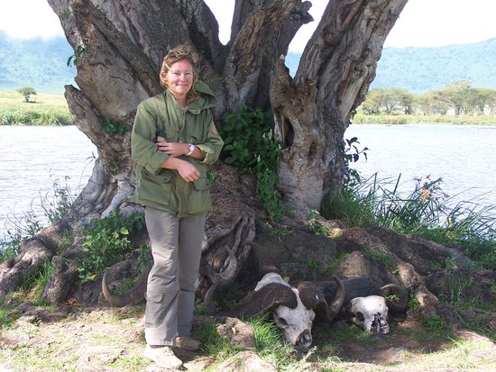 Büffelschädel und ich friere immer noch...