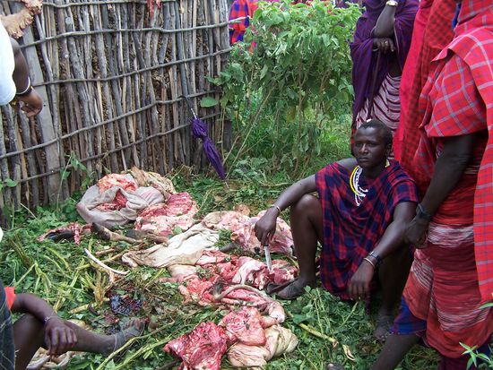 Mahlzeit ! (Nein, es wird noch gekocht..)