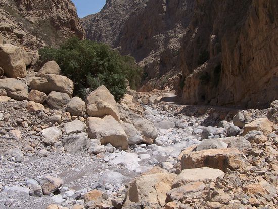 Wadi in den Hajjar mountains