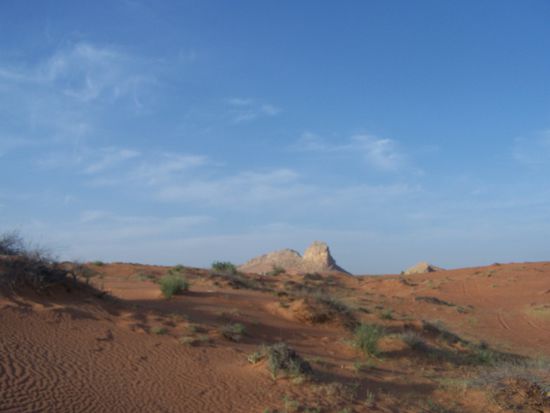 Dieses Foto gaukelt eine intakte Landschaft nur vor...