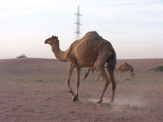 Unsere Zuschauer, naja, es interessierte sie nicht wirklich...