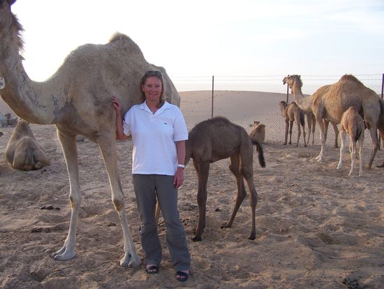 Vielleicht der nächste Derby-Gewinner ?