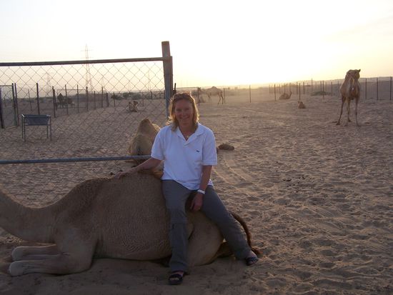 Kopf des Kamels leider nicht im Bild (Grund: siehe oben), aber ich hatte einen bequemen Sitz.