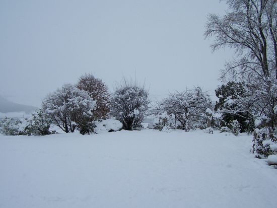 Winterlandschaft im Juni in...