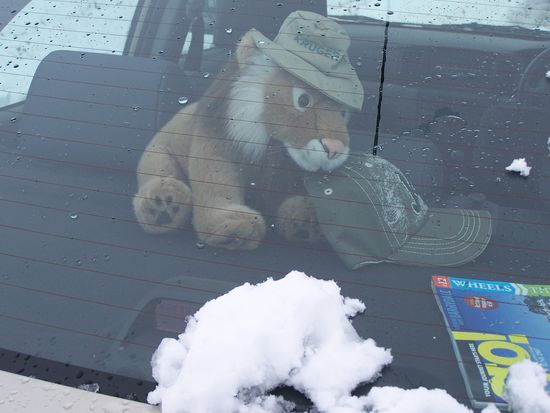 Clarence im Schnee...