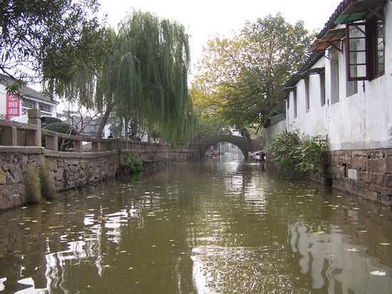 Durch die Trauerweiden noch so schön grün und romantisch