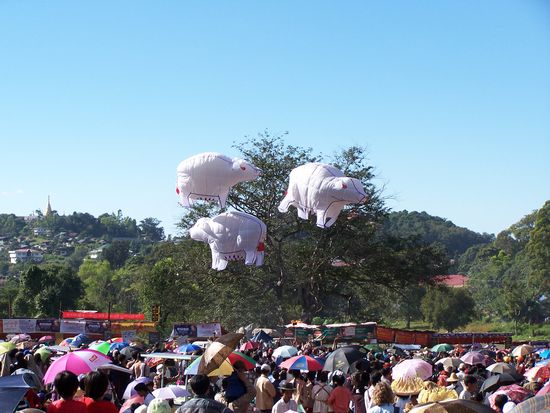 Schweine ins Weltall !