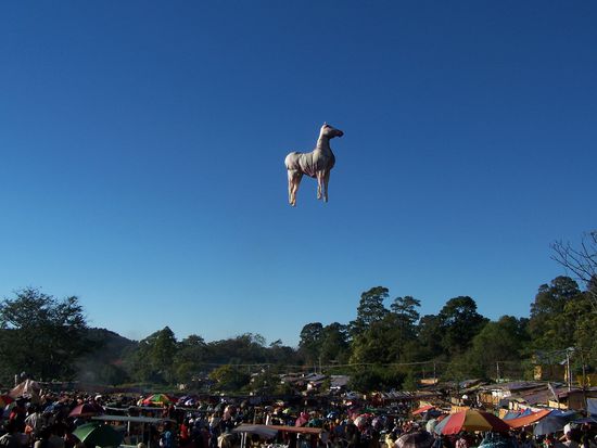 Ein fliegendes Pferd