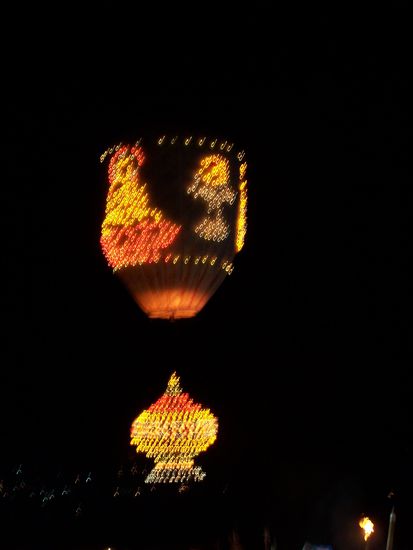 Er fliegt in seiner ganzen Pracht !