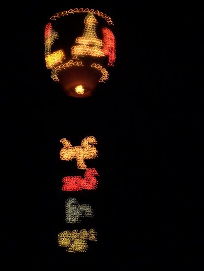 Verwackelt, aber er fliegt !