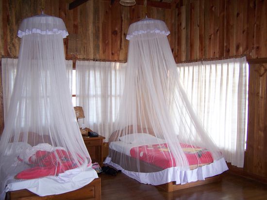 Auch von innen einfach bildschön !