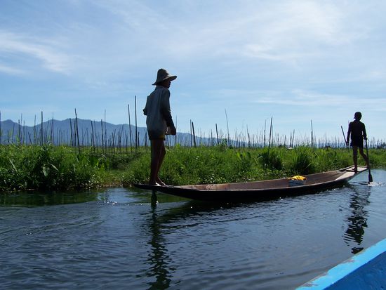 Schwimmende Gemüsegärten