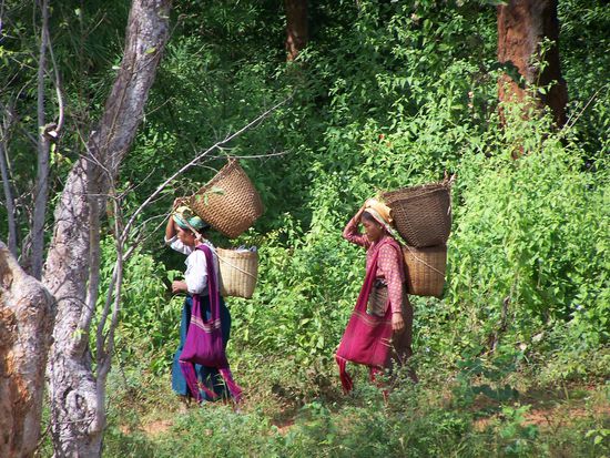 Shan-Frauen bei der harten Transport-Arbeit
