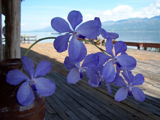 Abschied vom traumhaften Inle See