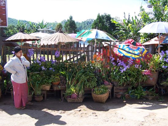 Obst, Gemüse- und Blumenstand