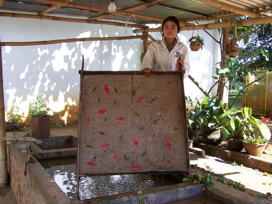 Das fertige Papier - handgeschöpft und verziert mit Blüten. Sehr schön und ein must-have als Notizbuch !