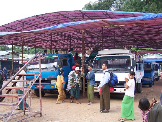Und wieder rein in den Viehtransporter !