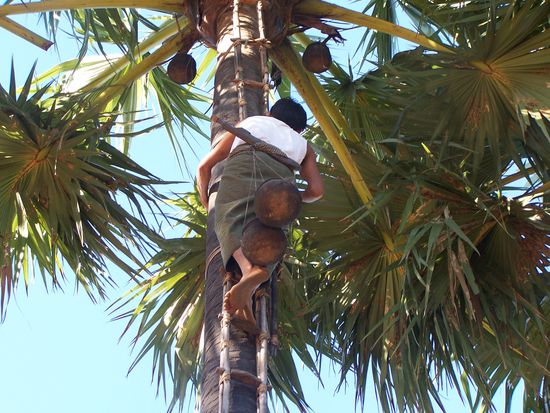 Nicht ganz ungefährlich, dieser Job...