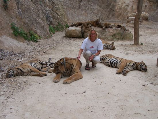 Es ist nur eine Katze, nicht anders als meine Mautzi zuhause...so einen Stuss redete ich mir ein.