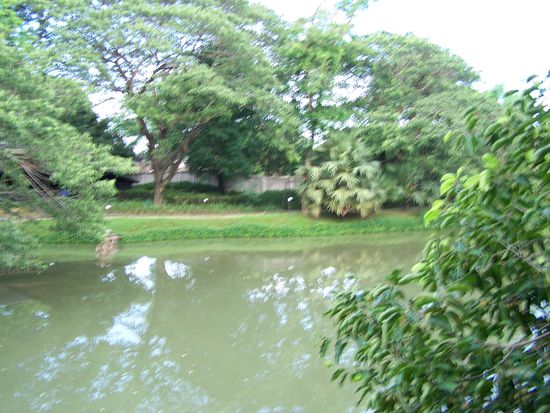 Blick aus meiner Holzhütte