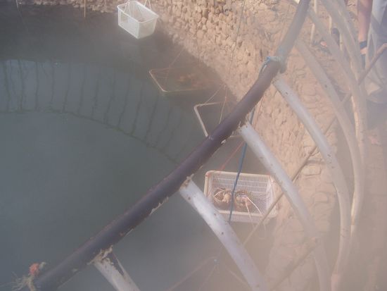 natürlicher Eierkocher