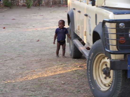 Wem es bei diesem Anblick nicht das Herz zerreißt, dem ist nicht mehr zu helfen !