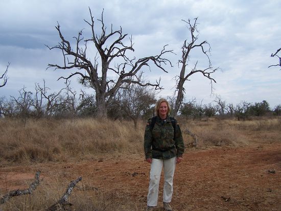 Ich im Busch des Hlane Parks in meiner bewährten 2-EUR-Bundeswehrtarnjacke, dem praktischsten Kleidungsstück, das man sich nur vorstellen kann  ! Auf dieser Reise boten mir später noch viele Afrikaner an, mir die Jacke abzukaufen !