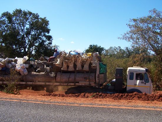 Und ab in die "Umleitung", außerdem sieht man, daß es nichts gibt, was sich nicht auf mosambikanischen LKW transportieren ließe: Baumstämme, Korbsessel, Plastikkanister, Menschen und Ziegen...