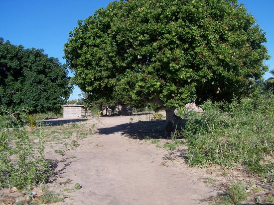 Zufahrt zum Campingplatz