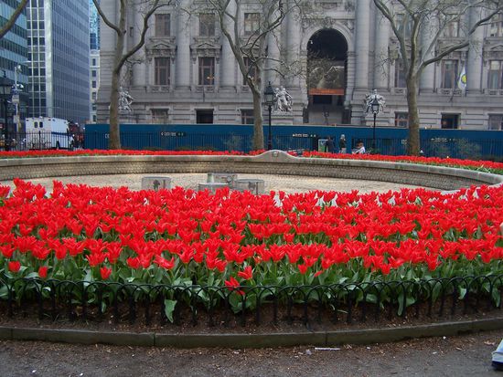 Ich weiß es nicht mehr, aber dieser Platz hat etwas mit Holland zu tun - deswegen die Tulpen