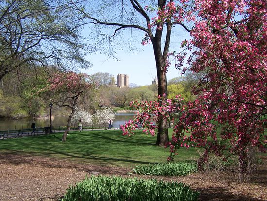 Central Park im Vorfrühling