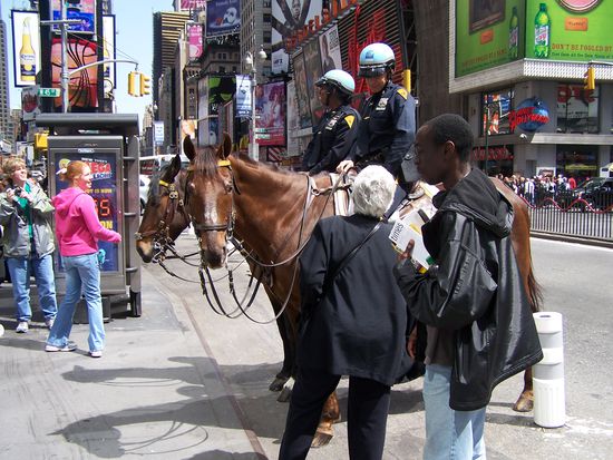 Beliebte berittene Polizei am Times Square