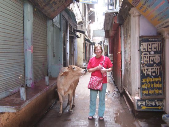 In den engen Altstadtgassen eine mir sehr wohlgesonnene Kuh