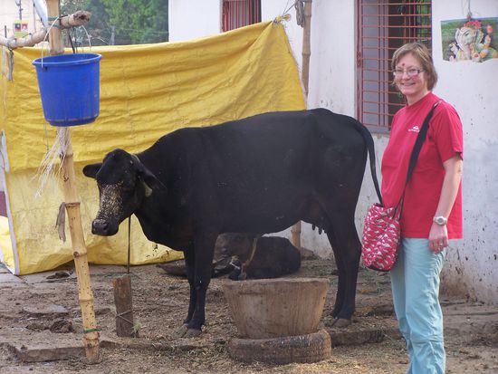 Um meine "Die-Kuh-und-ich"-Fotosammlung zu vervollständigen werde ich zuhause auch endlich mal neben einer heimischen Schwarzbunten posieren...
