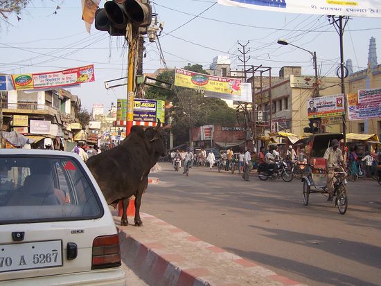 Das ist noch harmlos