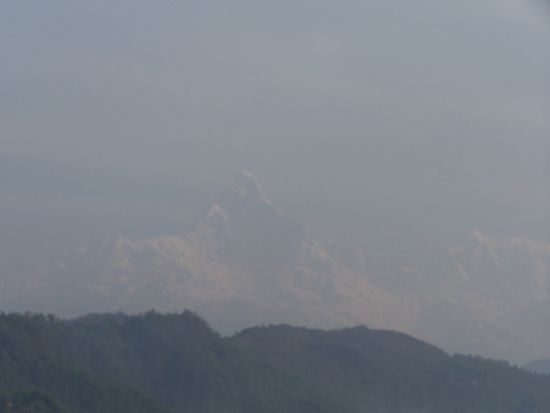 Ich jedenfalls, bin begeistert ! Das sieht sooo schön aus !