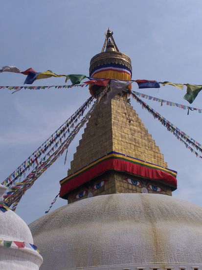 Das ist jetzt echt gänsehautträchtig !