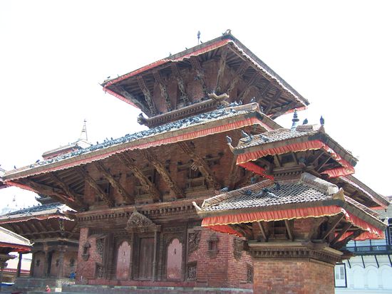 Beachtlich die Tauben-Population !