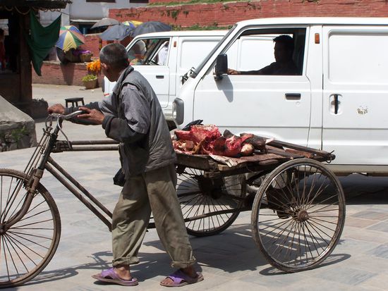 Fleischtransporter, hmmm, lecker ! Kühlkette ? Unbekannt !