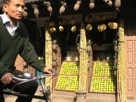 Ananas, Bananen, Zitronen - Ordnung muss sein...